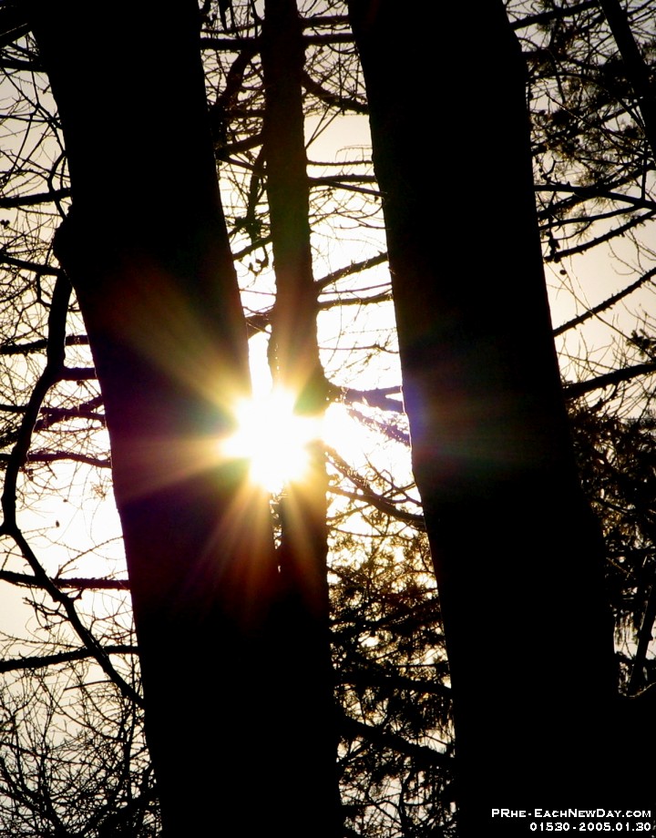 01530cl - Sunlight on a Sunday Afternoon